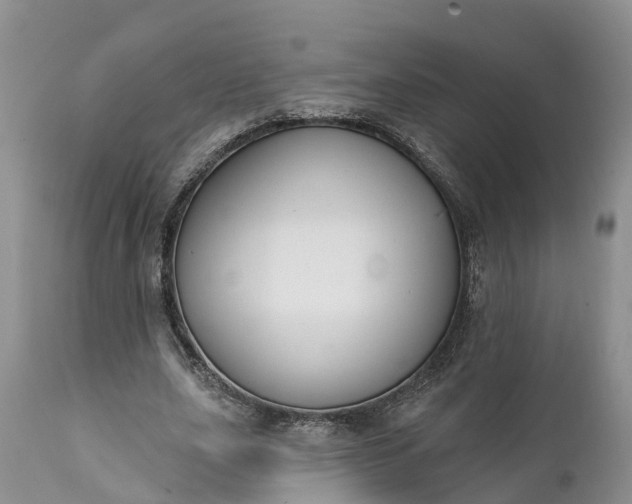 X0000111380631200907241310