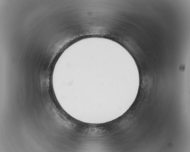 X0000111380632200907241310