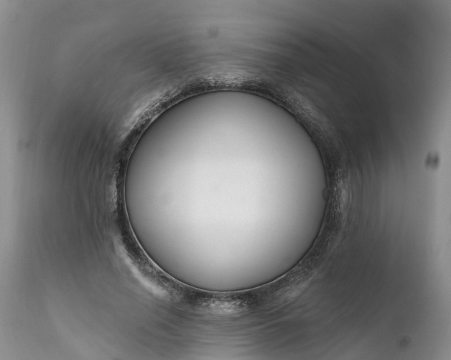 X0000111380638200907241310