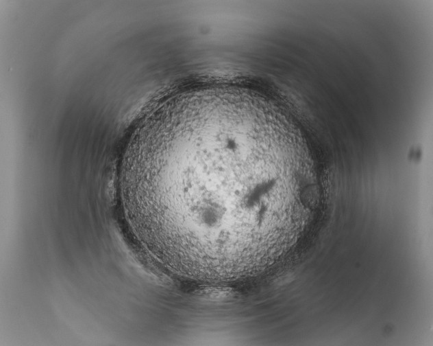 X0000111380642200907241310