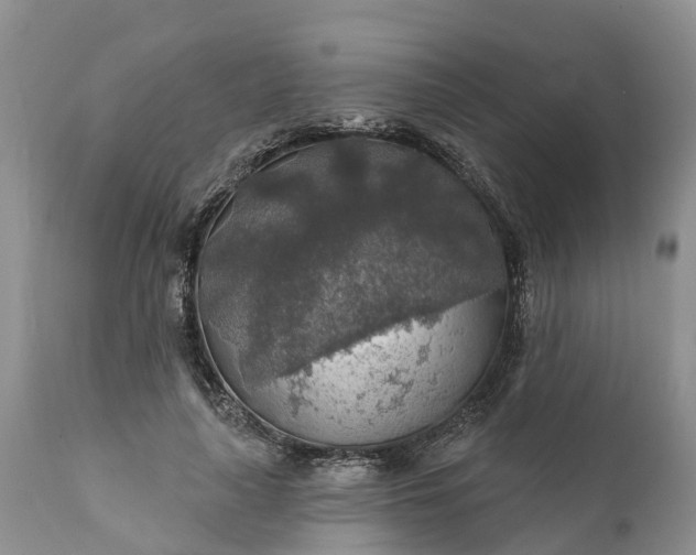 X0000111380643200907241310