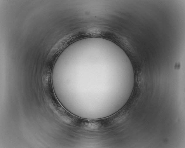 X0000111380645200907241310