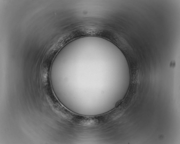 X0000111380646200907241311