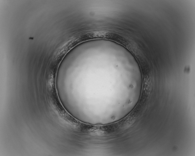 X0000111380648200907241311