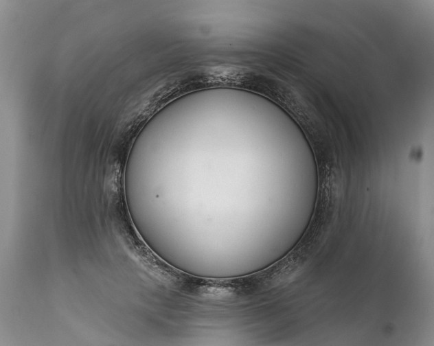 X0000111380649200907241311