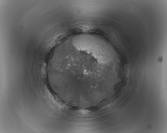 X0000111380650200907241311