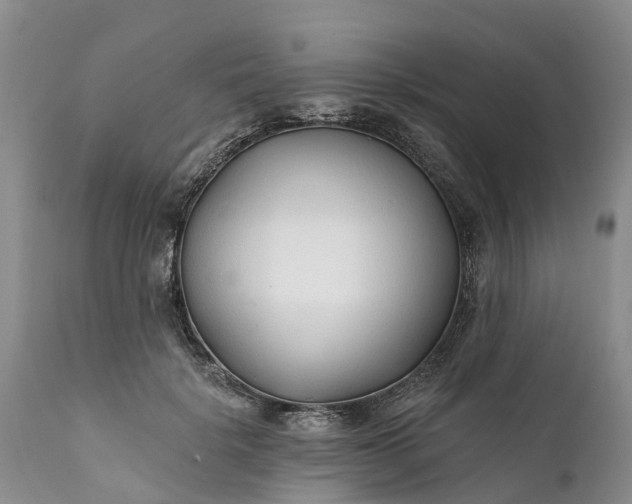 X0000111380652200907241311