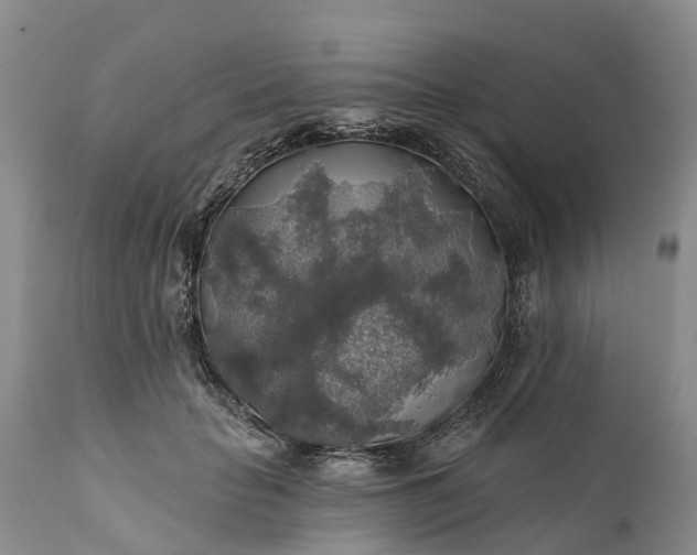 X0000111380653200907241311