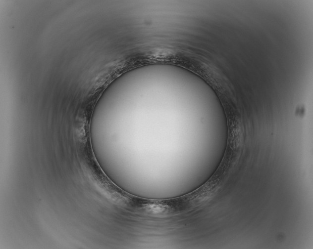 X0000111380654200907241311