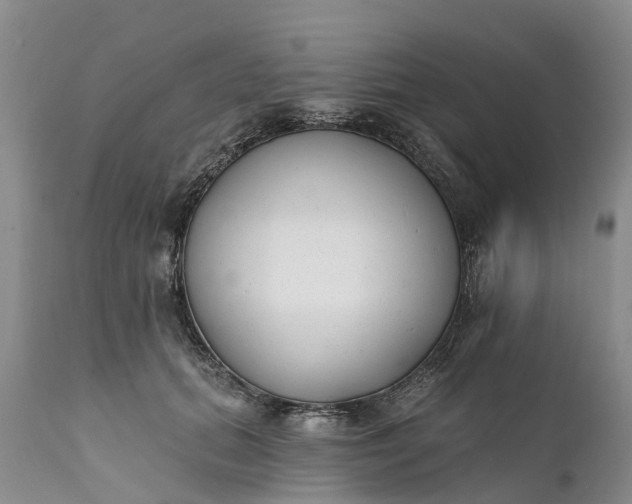 X0000111380655200907241311