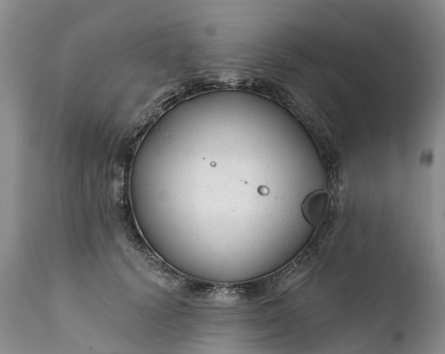 X0000111380656200907241311