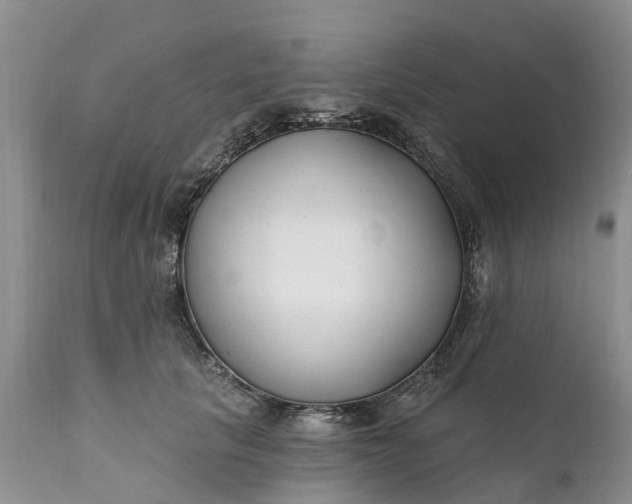 X0000111380657200907241311