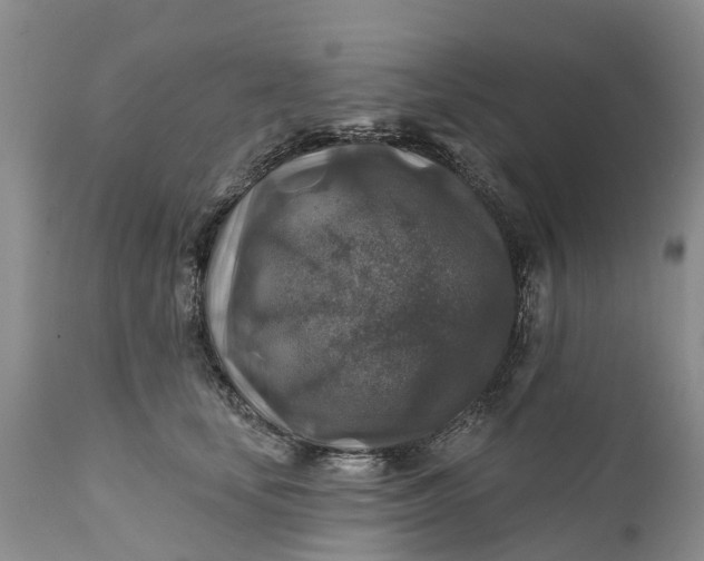 X0000111380659200907241311