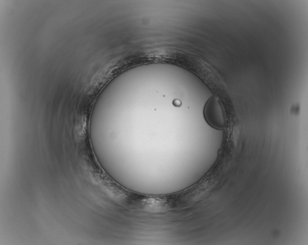 X0000111380660200907241311