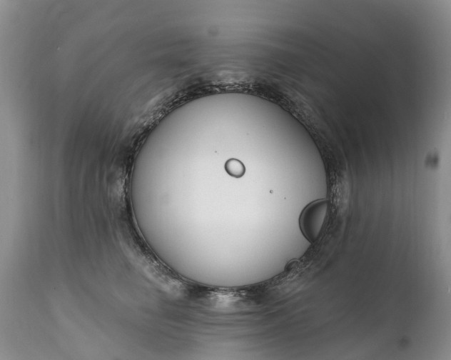 X0000111380662200907241311