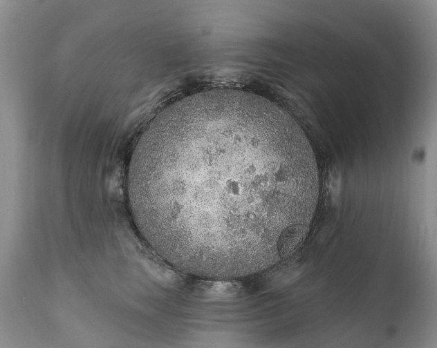 X0000111380663200907241311