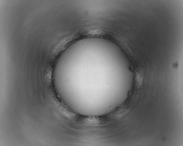 X0000111380668200907241311