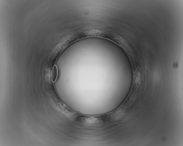 X0000111380669200907241311