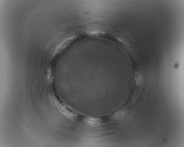 X0000111380670200907241311