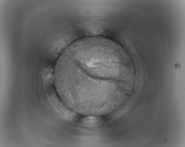 X0000111380672200907241311