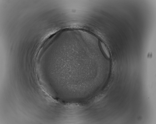 X0000111380673200907241310