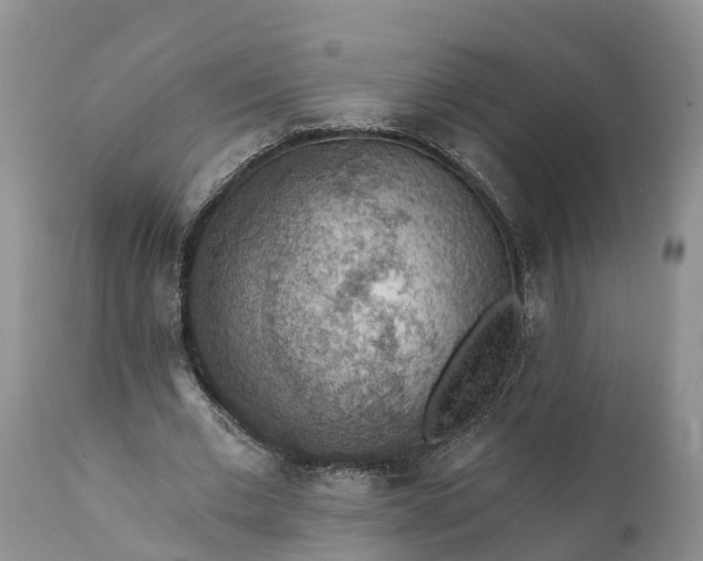 X0000111380677200907241310