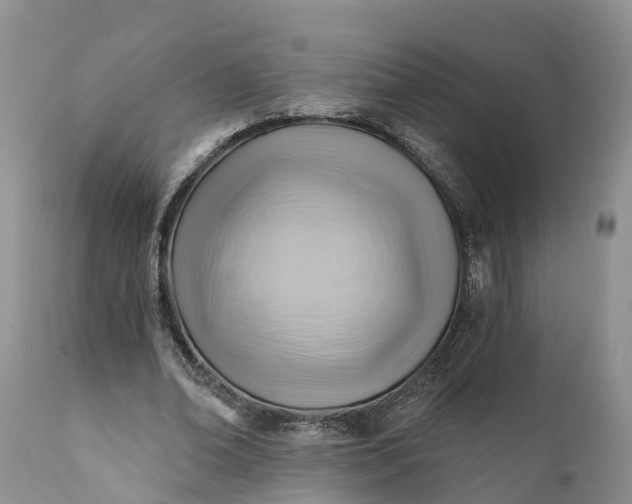 X0000111380678200907241310