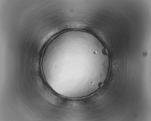 X0000111380679200907241310