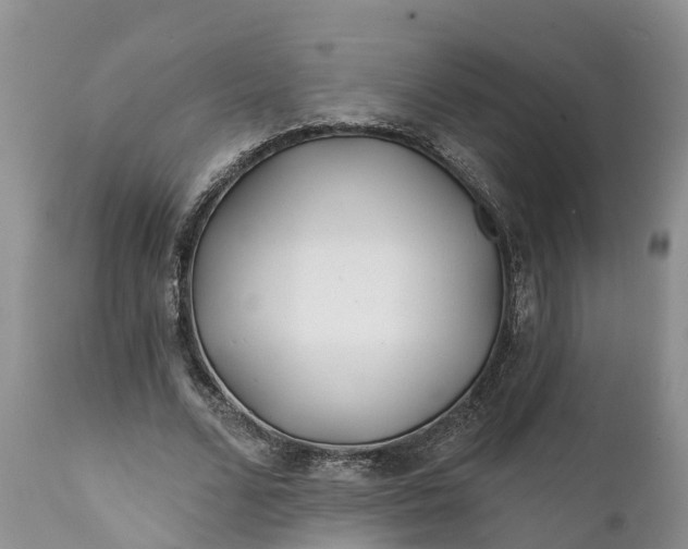 X0000111380680200907241310