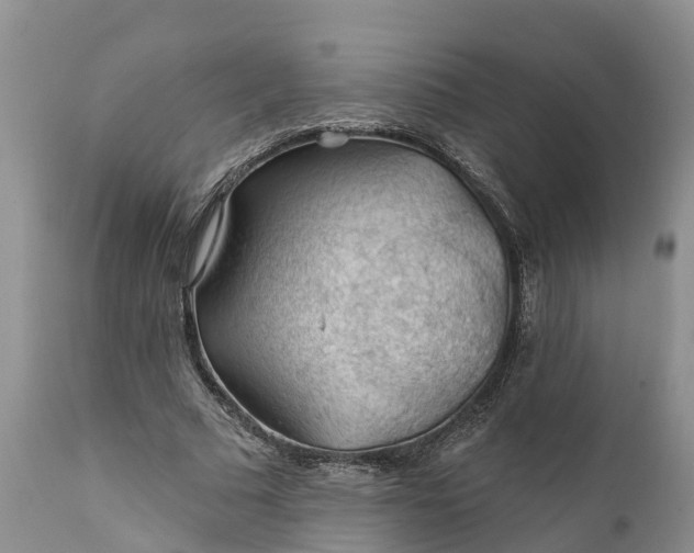 X0000111380681200907241310