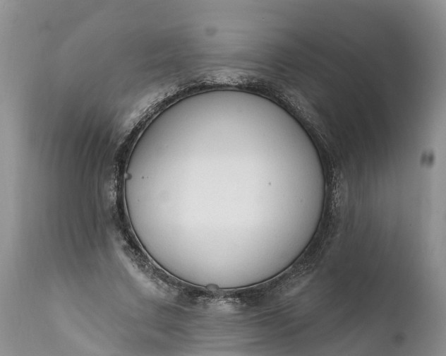 X0000111380683200907241310