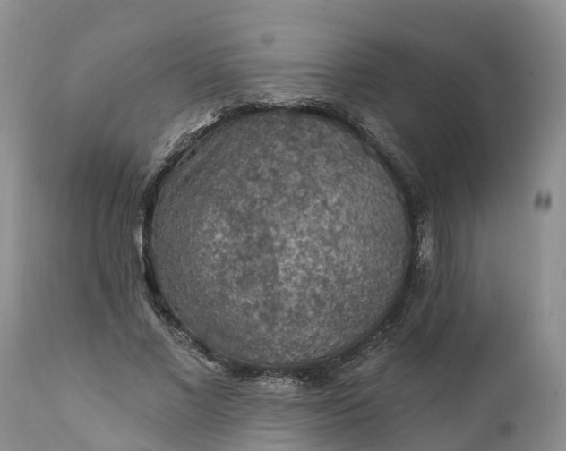 X0000111380685200907241310