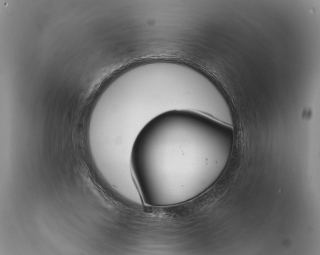 X0000111380688200907241310