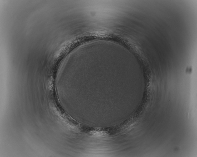 X0000111380689200907241310