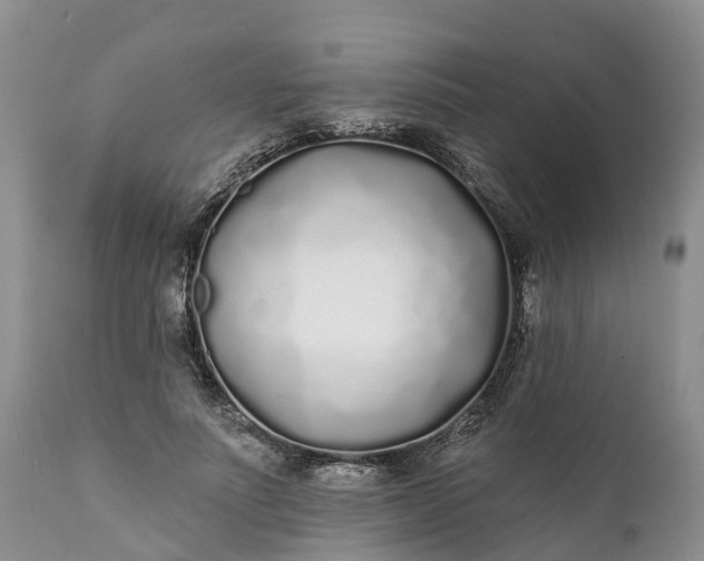 X0000111380691200907241310