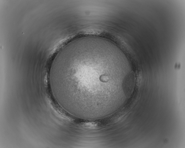 X0000111380692200907241310