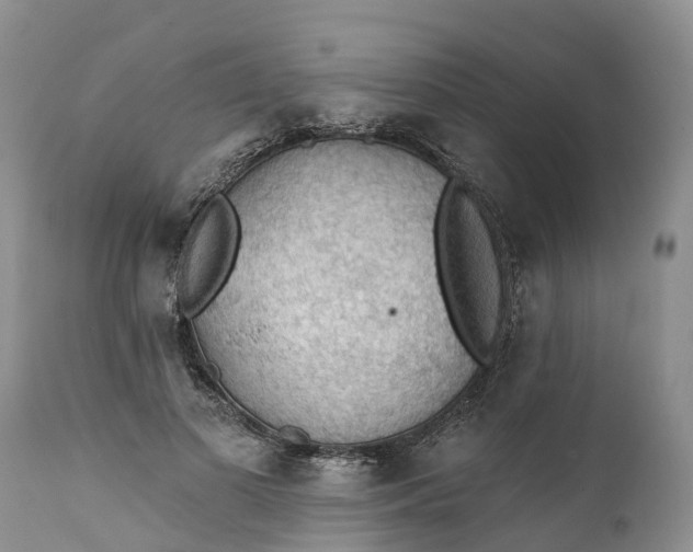 X0000111380693200907241310