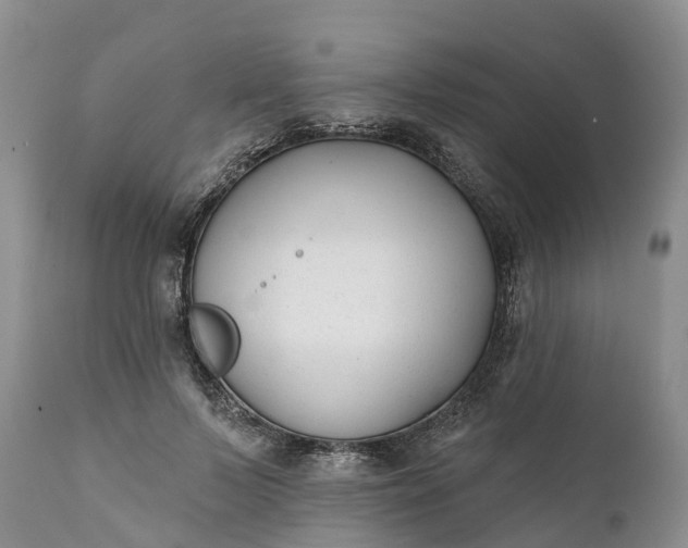 X0000111380695200907241310