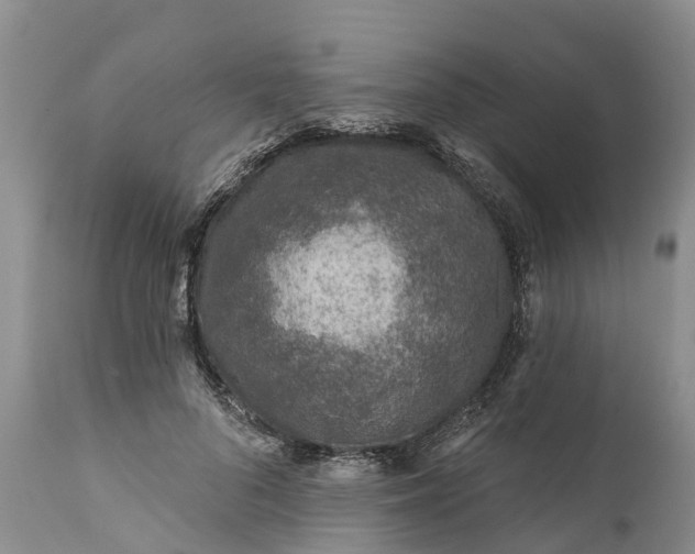 X0000111380696200907241310