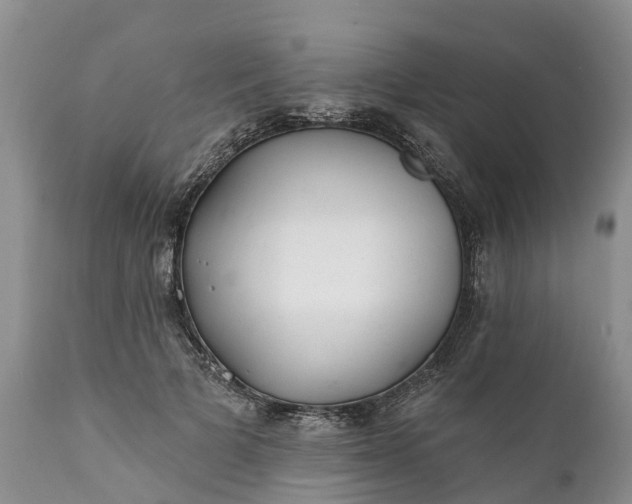 X0000111380697200907241310