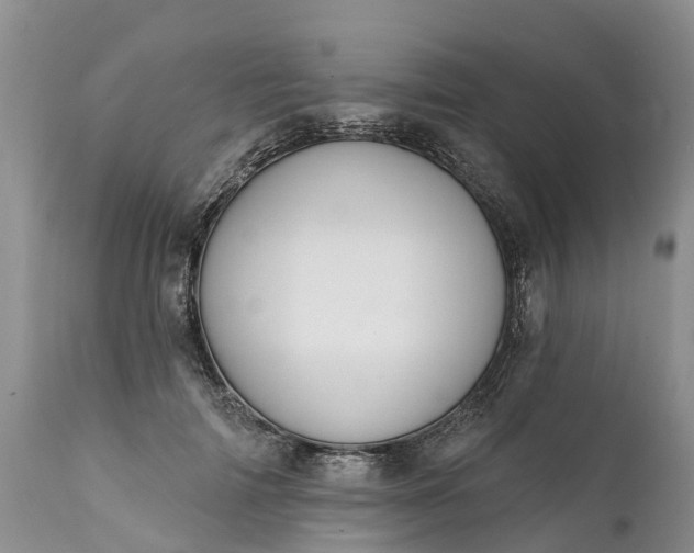 X0000111380698200907241310