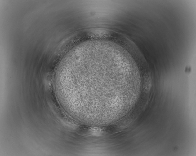 X0000111380701200907241310