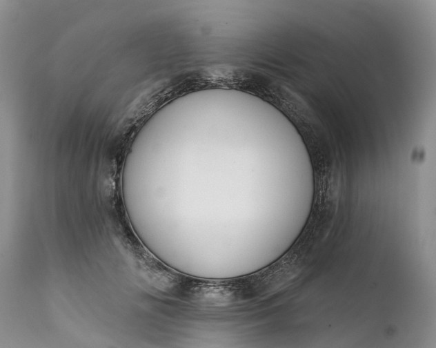 X0000111380702200907241310