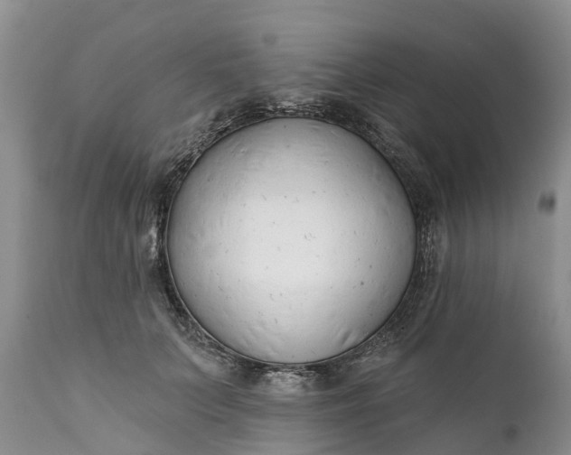 X0000111380703200907241310