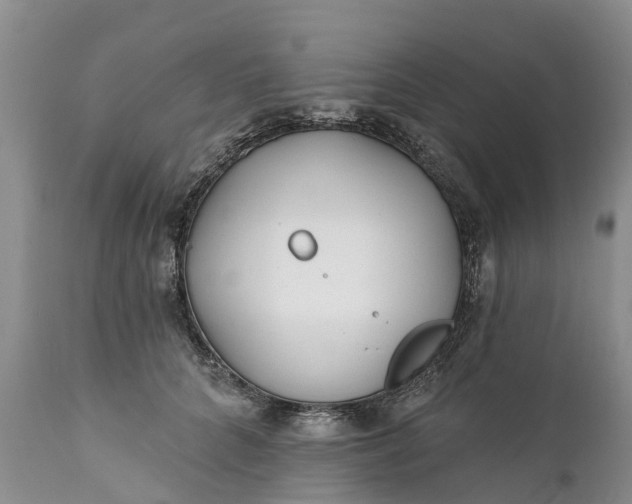 X0000111380704200907241310