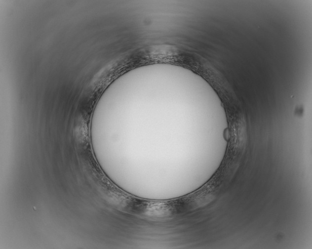 X0000111380705200907241310