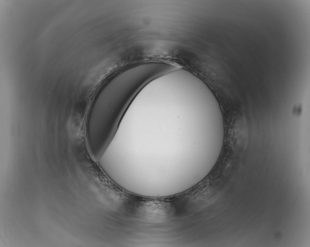 X0000111380708200907241310