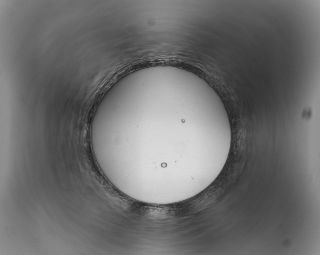 X0000111380709200907241310