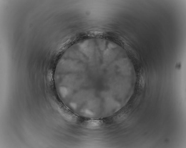 X0000111380711200907241310