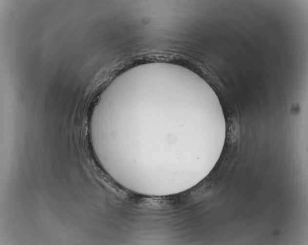 X0000111380713200907241310